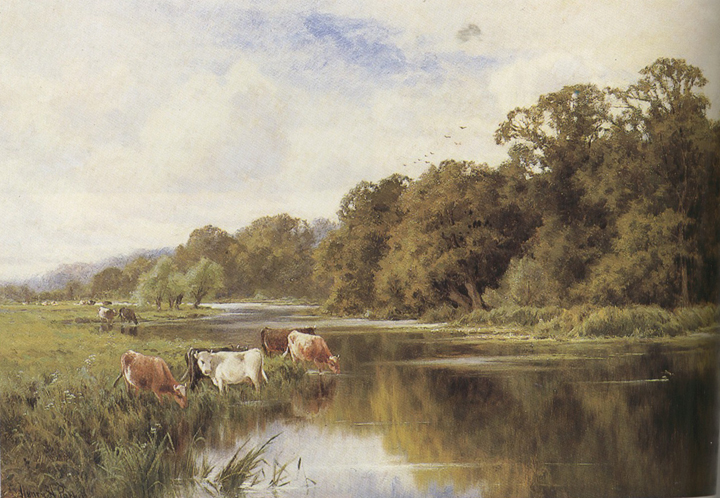 Cattle watering on a Riverbank (mk37)